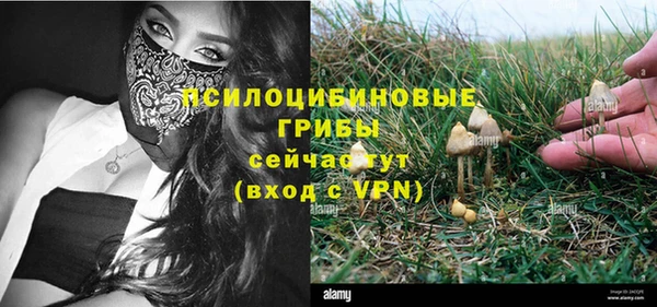 не бодяженный Богородск